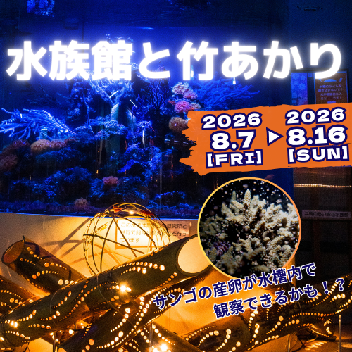 水族館と竹あかりの画像